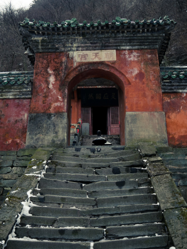 我為什么要看一個外國人寫我們國家的作品——“局外人”幾內亞留學生柯達，春節(jié)訪鄉(xiāng)觀察與思考